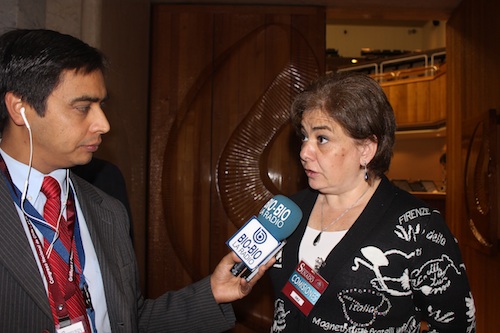 María Teresa Valenzuela en entrevista con la prensa, tras exponer en el Congreso.